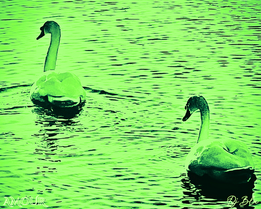 AMOUR / GREEN