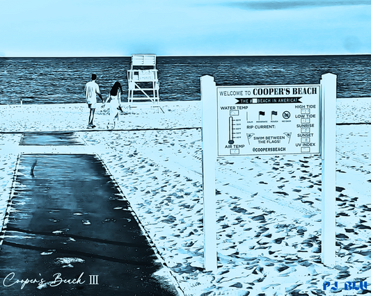 COOPER`S BEACH Ⅲ/ ARIA