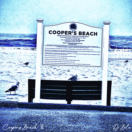 COOPER`S BEACH Ⅱ/ ARIA