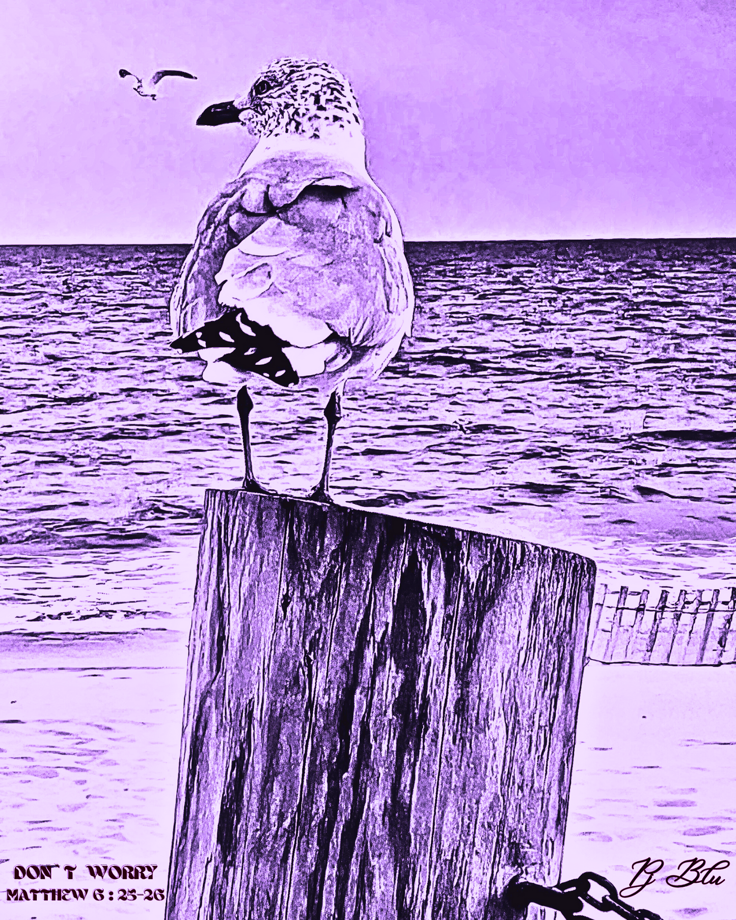 DON`T WORRY / MATTHEW 6:25-26 / AMETHYST