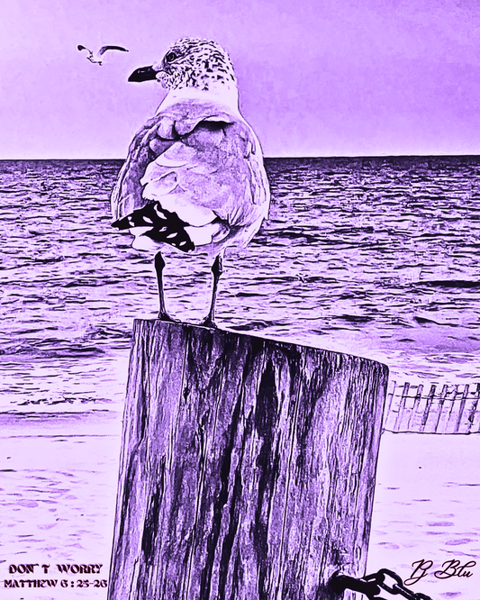 DON`T WORRY / MATTHEW 6:25-26 / AMETHYST