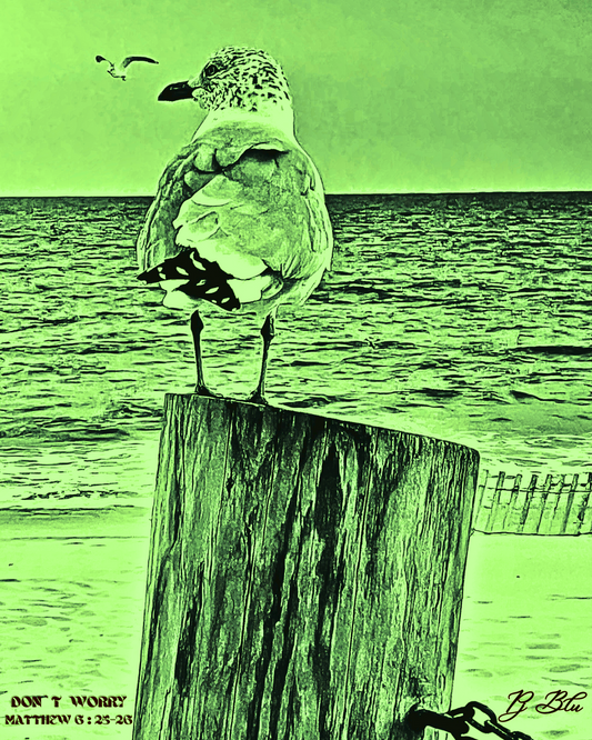 DON`T WORRY/ MATTHEW 6:25-26 / GREEN