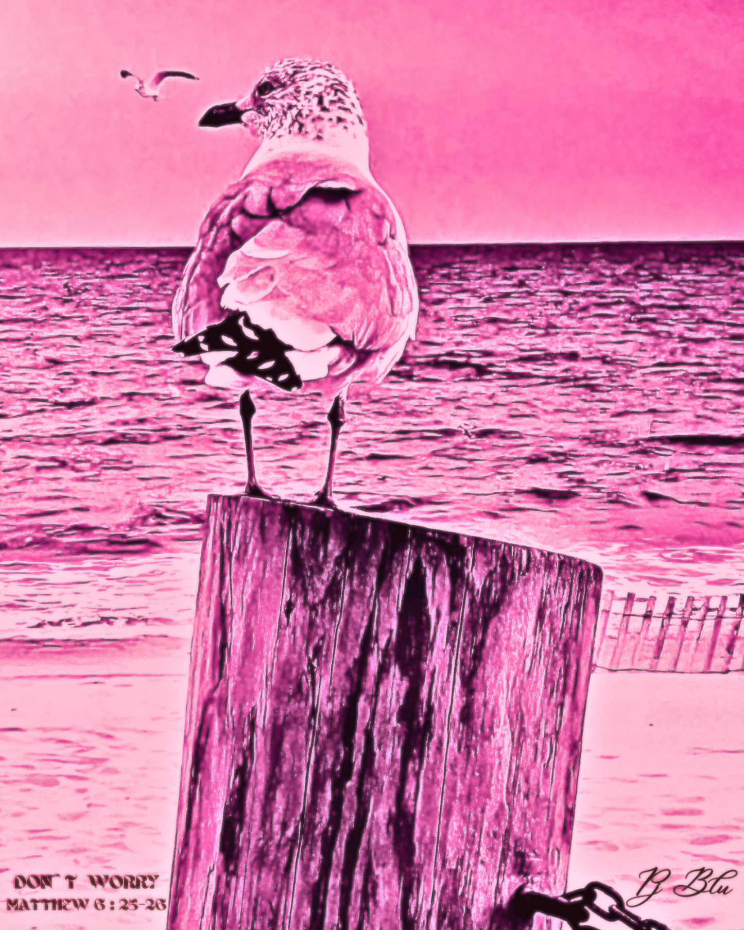 DON`T WORRY/ MATTHEW 6:25 -26/ PINK