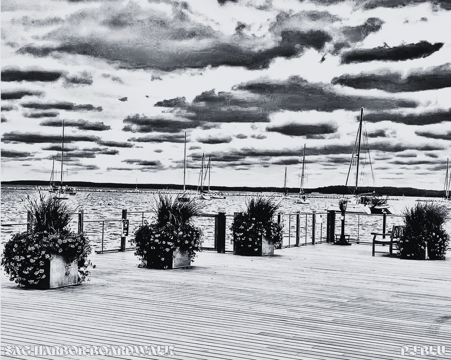 SAG HARBOR BOARDWALK / NOIR
