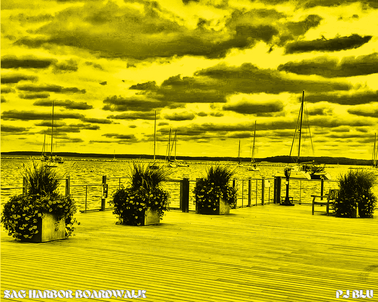 SAG HARBOR BOARDWALK / MUSTARD