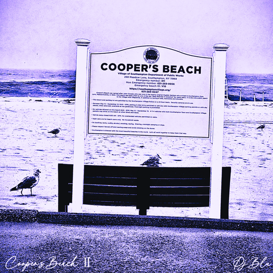 COOPER`S BEACH Ⅱ/ AMETHYST