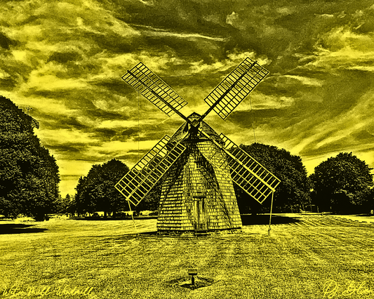 WATER MILL WINDMILL/ MUSTARD